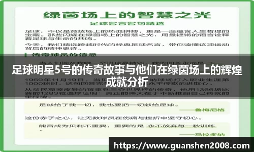 足球明星5号的传奇故事与他们在绿茵场上的辉煌成就分析
